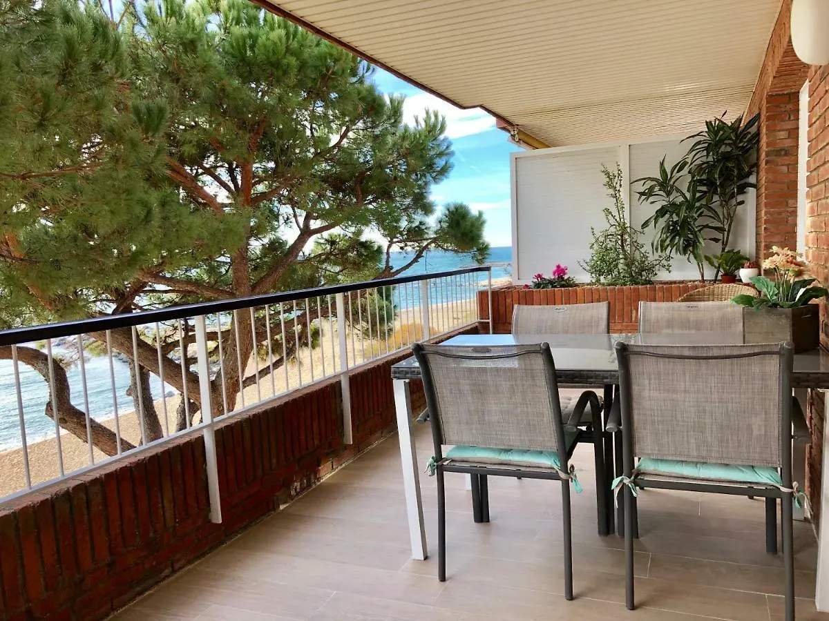 Musclera Apartment Arenys de Mar Spain